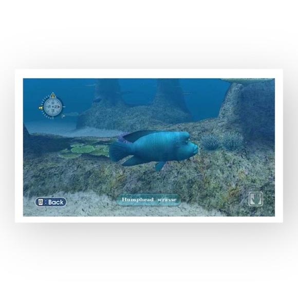 HTF: Nintendo Wii ๐ Endless Ocean: Dive Discover Dream Game ๐ Original Case ๐ - Picture 4 of 14